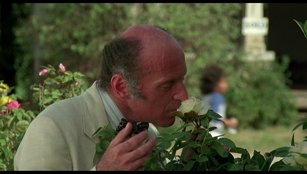 Cheech and Chong's Next Movie（原題）の画像