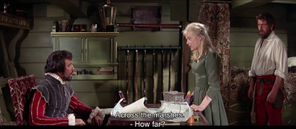 海賊船悪魔号の画像