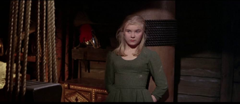 海賊船悪魔号の画像