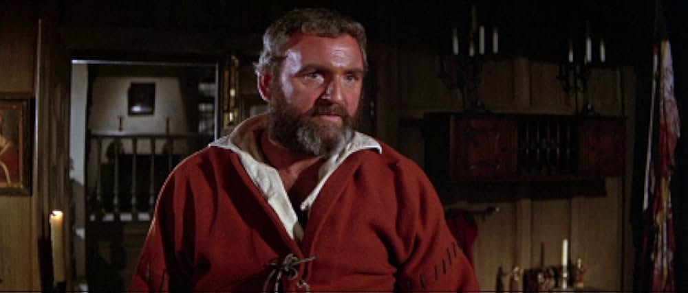 海賊船悪魔号の画像