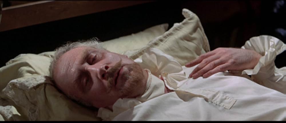 海賊船悪魔号の画像