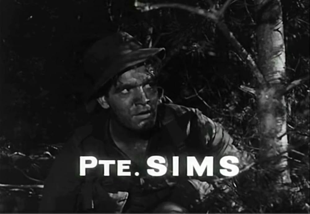 韓国の丘の画像