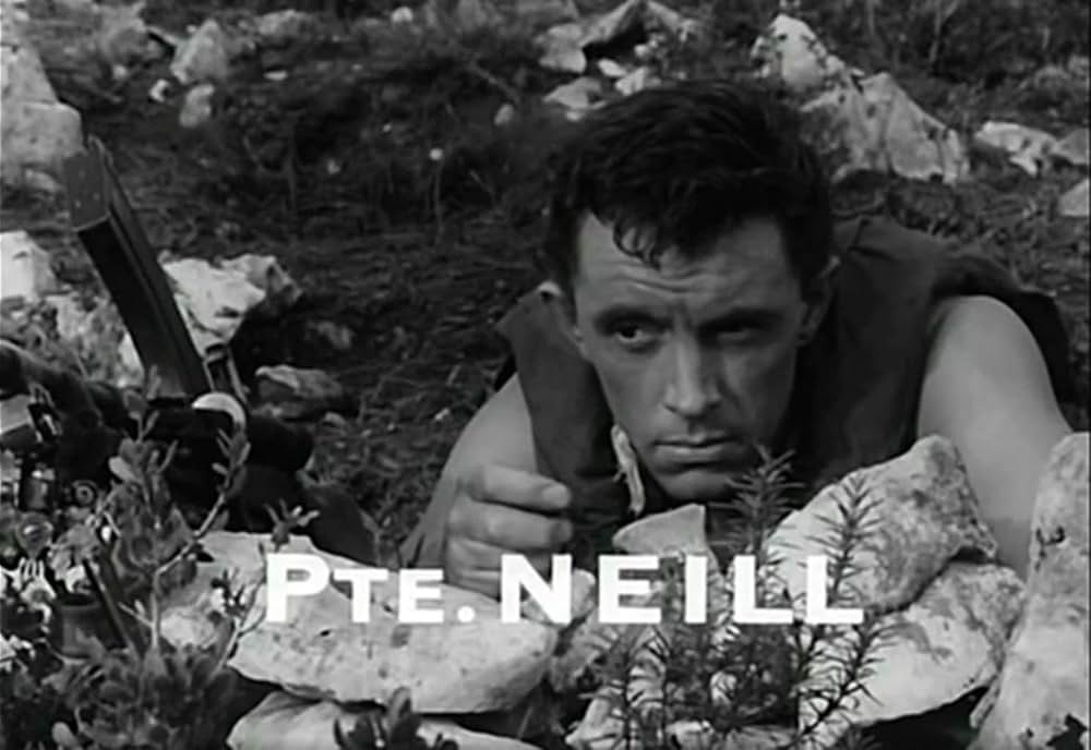 韓国の丘の画像