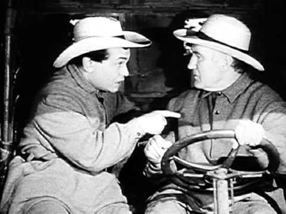 ニューヨークの顔役／顔役の画像