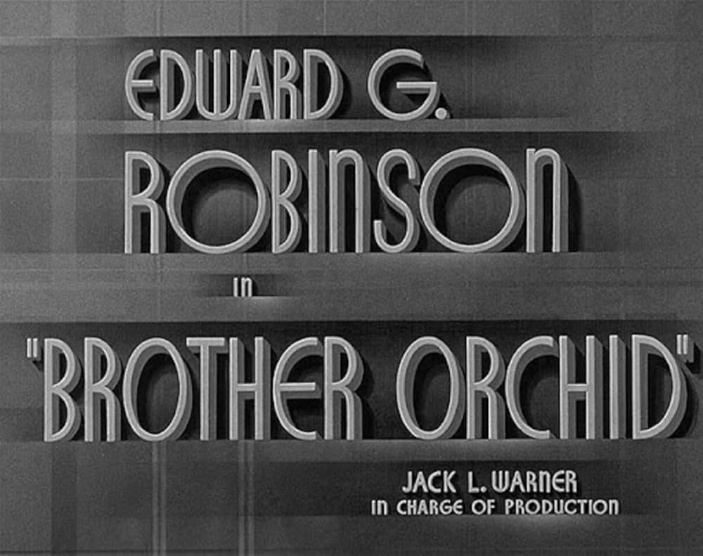 ニューヨークの顔役／顔役の画像