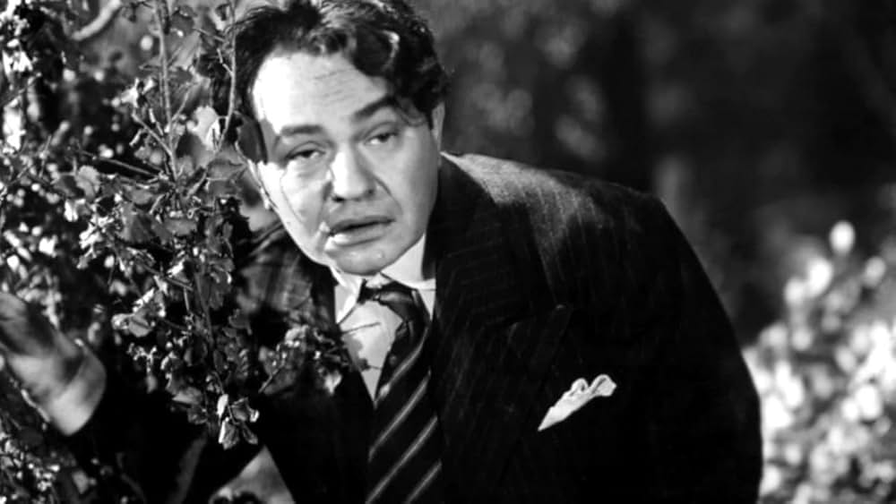 ニューヨークの顔役／顔役の画像