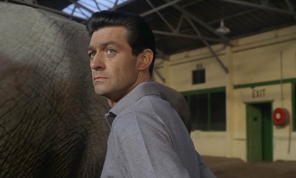 グレゴアの画像