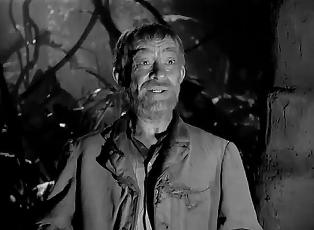 渡洋爆撃隊の画像