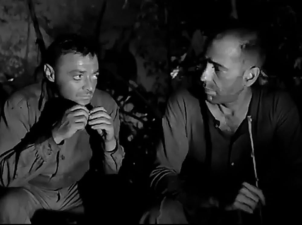 渡洋爆撃隊の画像