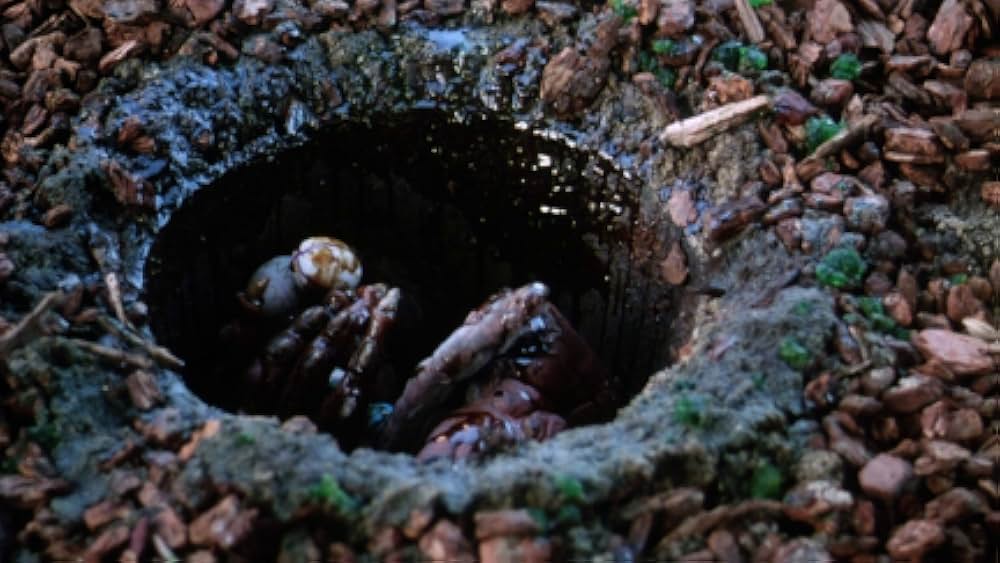 ビーイングの画像