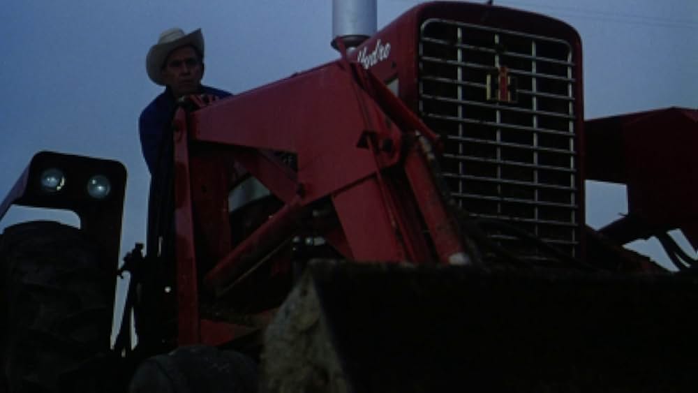 ビーイングの画像