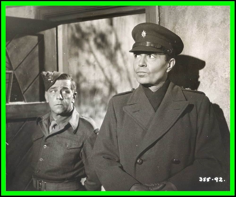 野性の太陽の画像