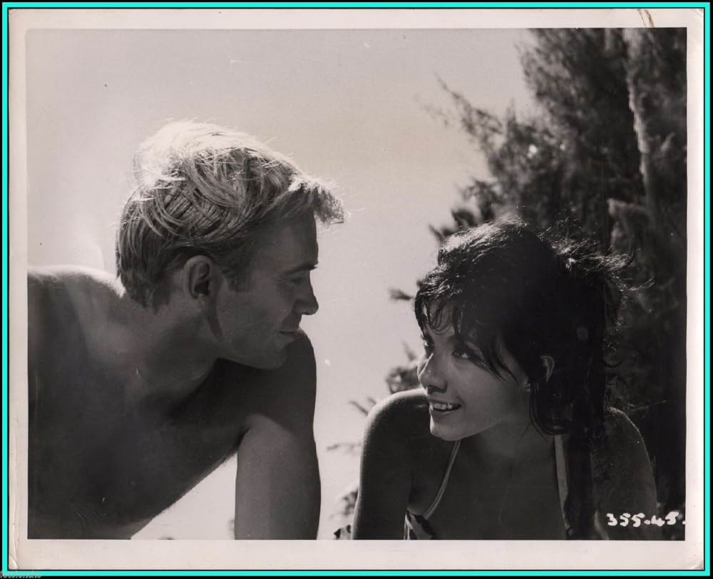 野性の太陽の画像