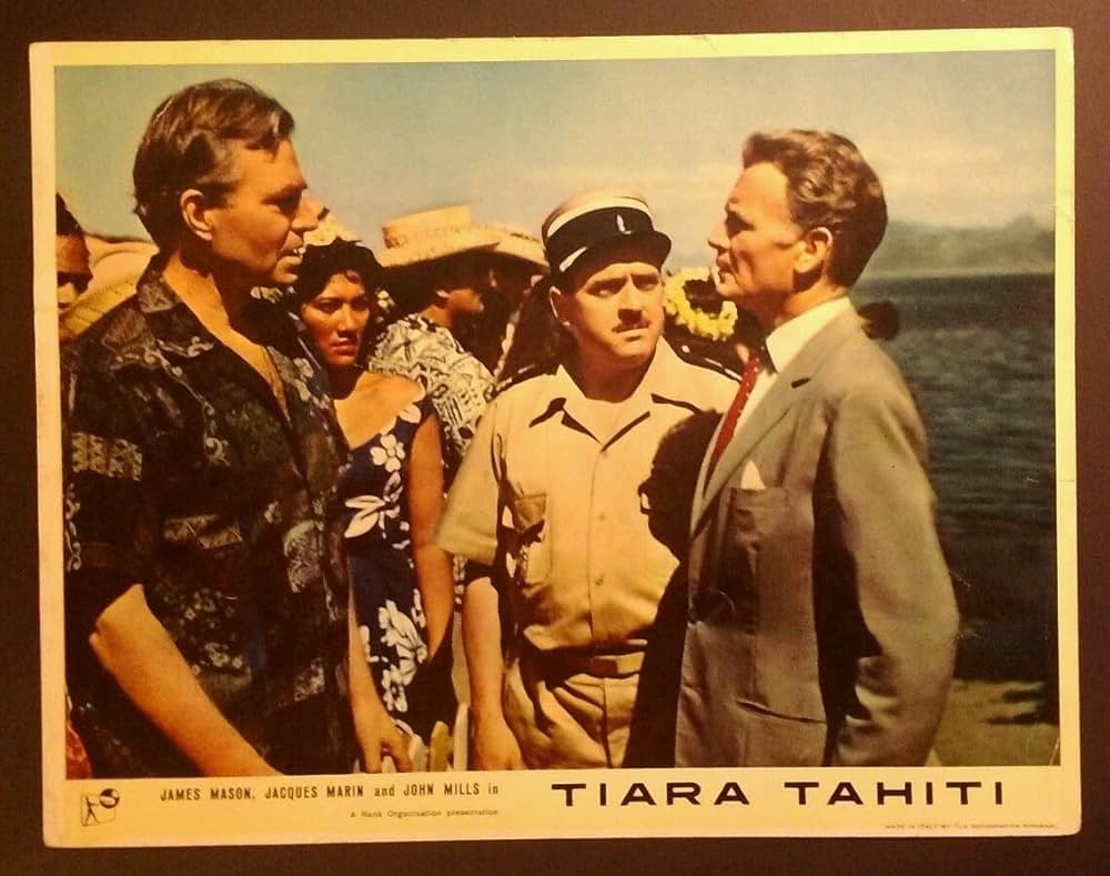 野性の太陽の画像