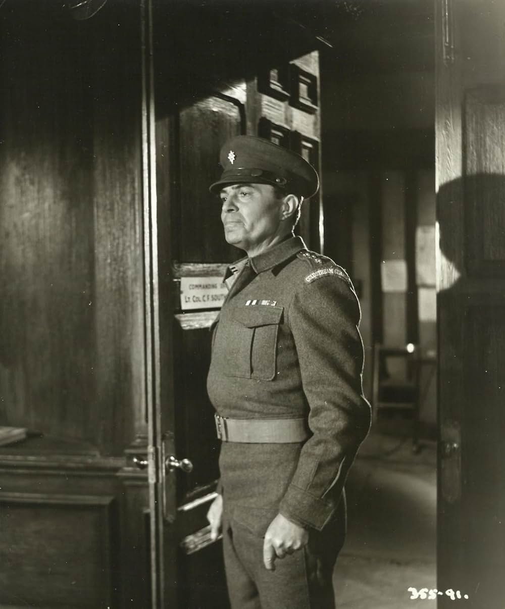 野性の太陽の画像