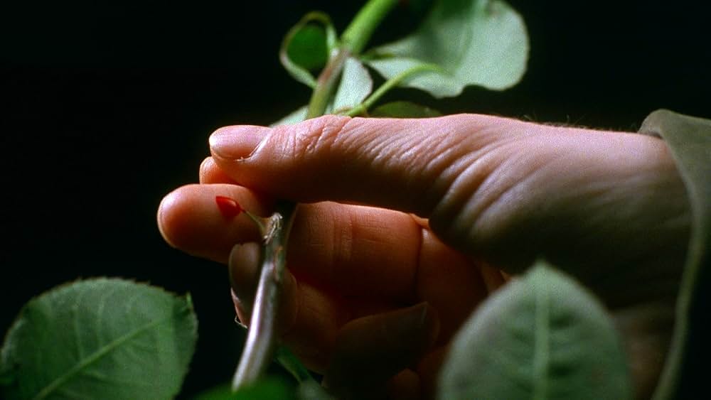 血と薔薇の画像