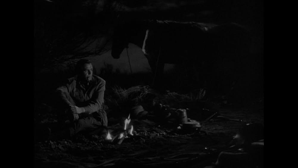 欲望の砂漠の画像