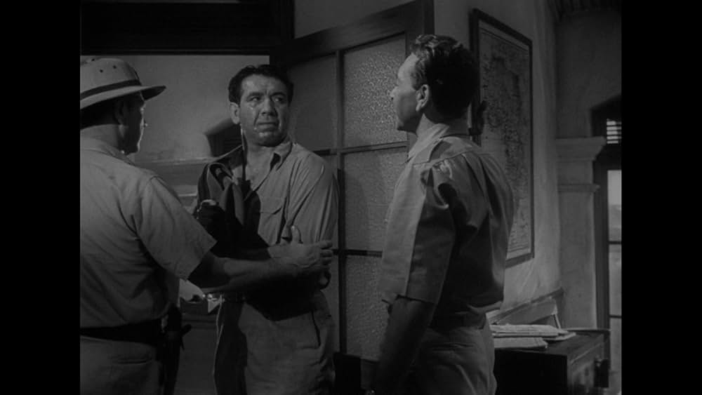 欲望の砂漠の画像