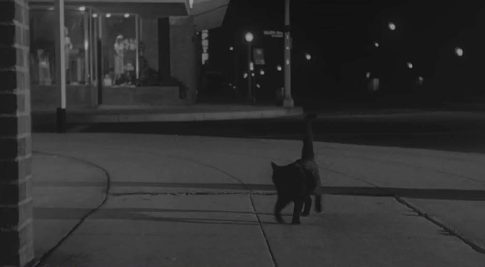 ナイト・ウォーカー 夜歩く者の画像