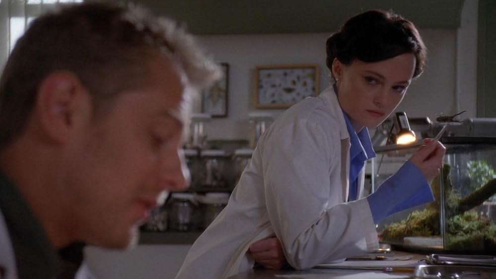 虫おんなの画像