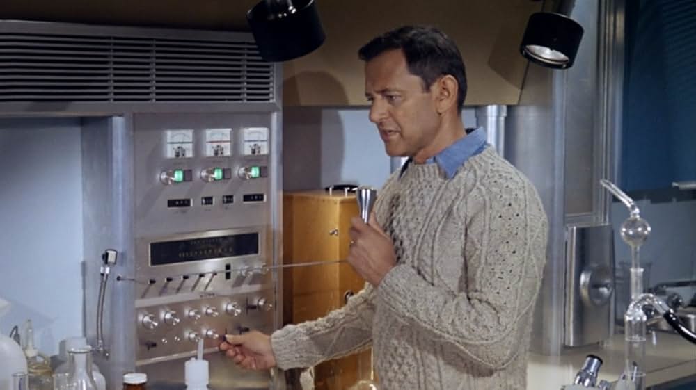 海軍てんやわんや騒動記の画像