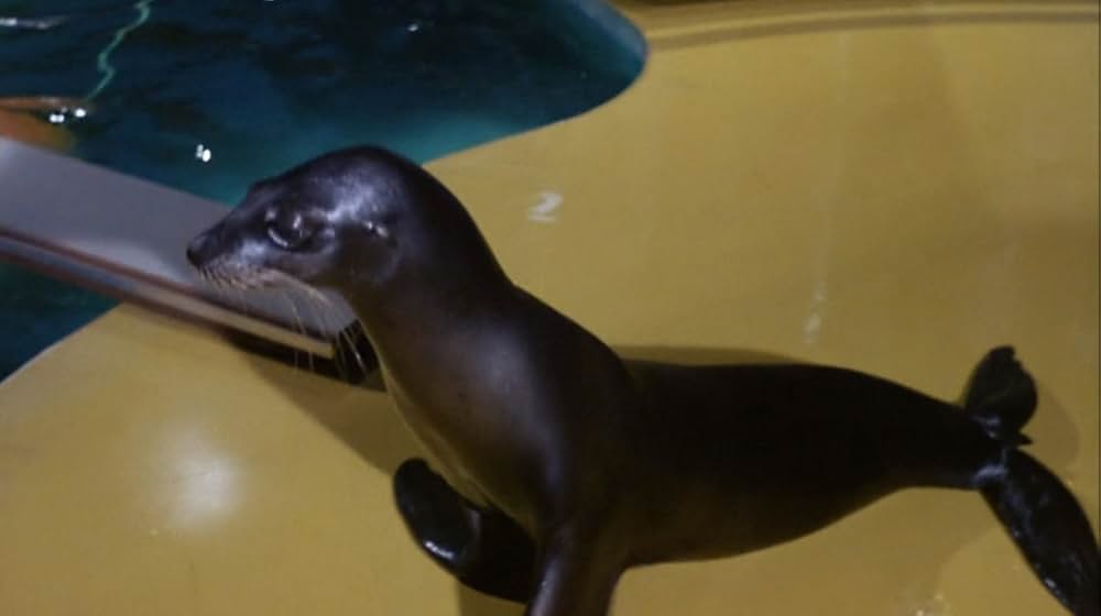 海軍てんやわんや騒動記の画像