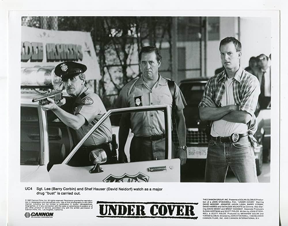 アンダーカバー／私服刑事の画像