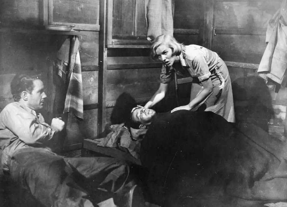 決戦珊瑚海の画像