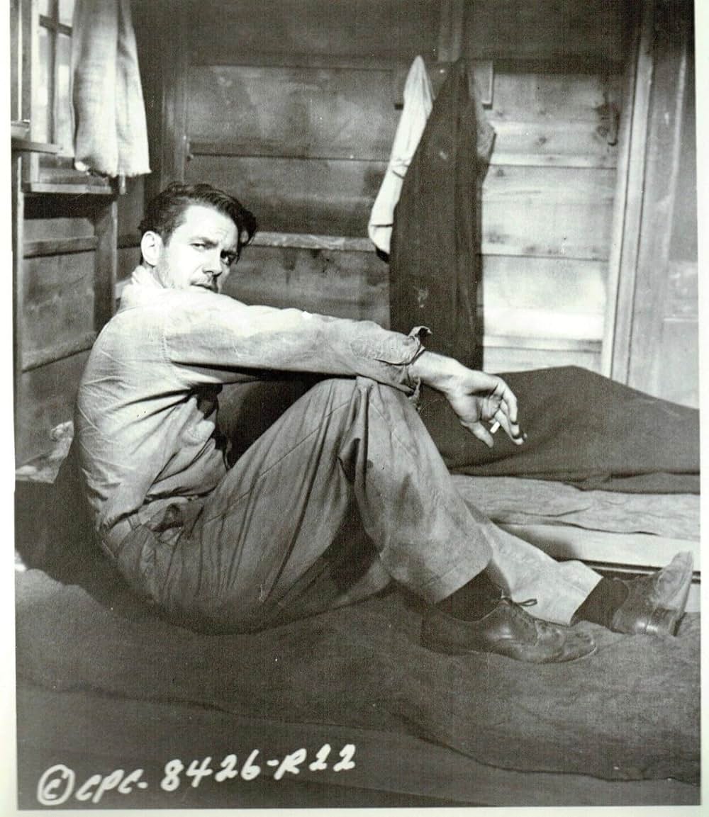 決戦珊瑚海の画像