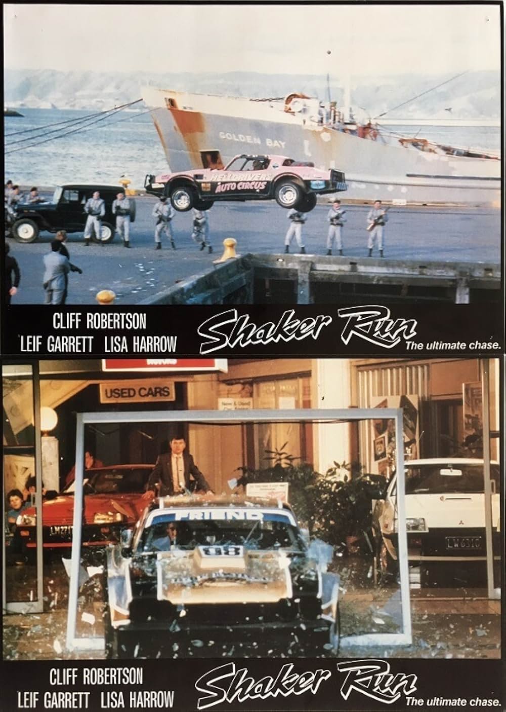 シェイカーランの画像