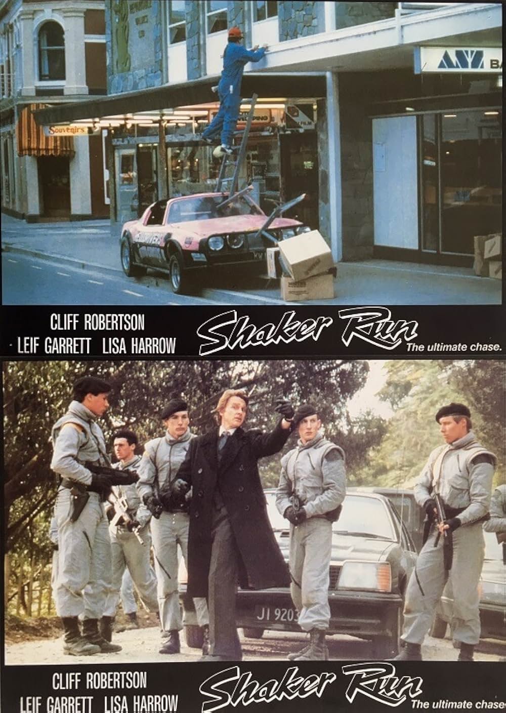 シェイカーランの画像