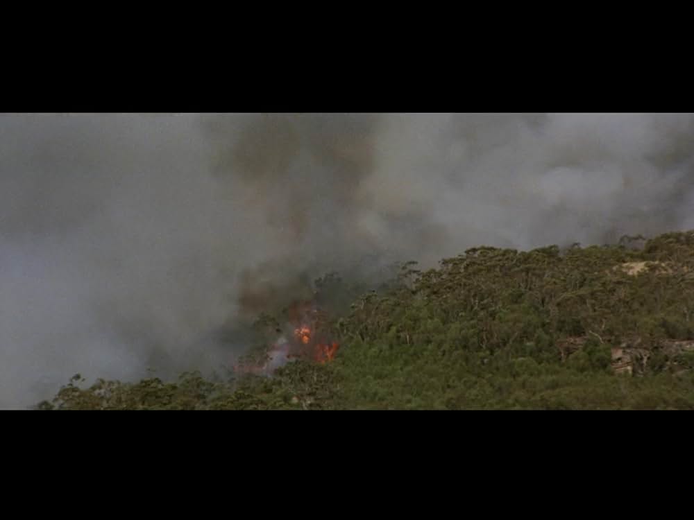 12月の熱い夏／裏切りが呼ぶ、陰謀の炎の画像