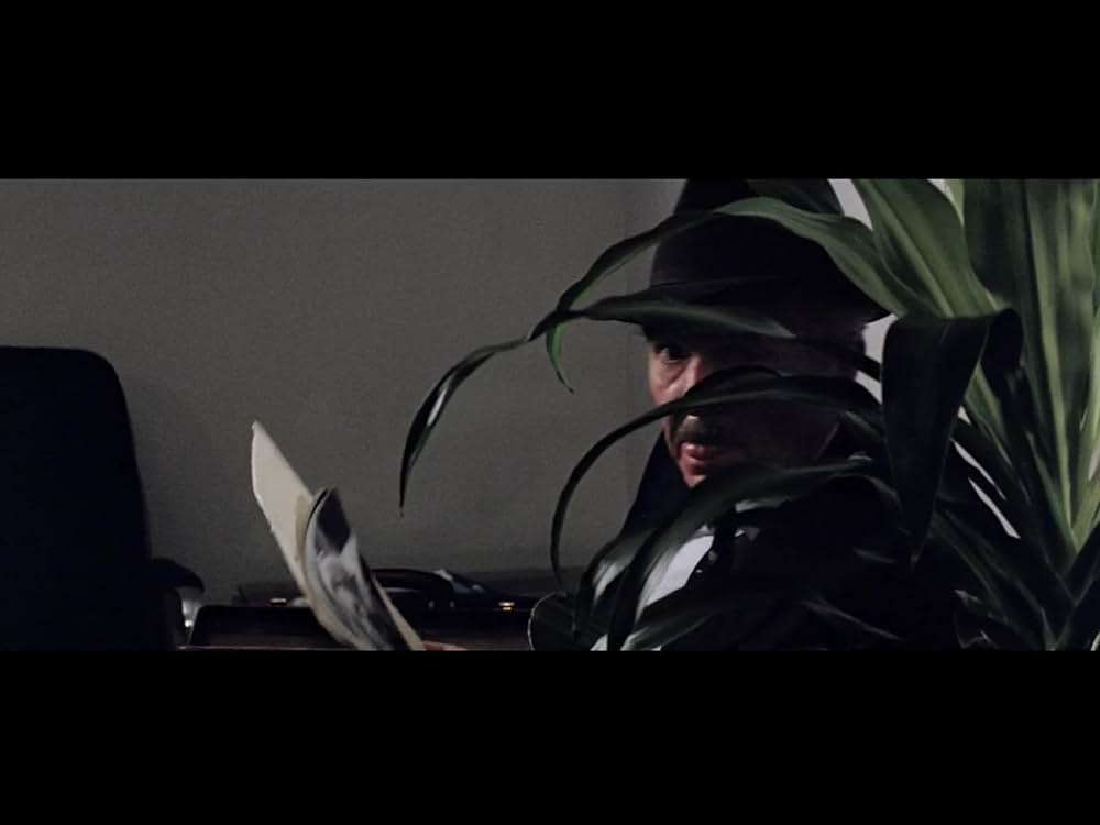 12月の熱い夏／裏切りが呼ぶ、陰謀の炎の画像