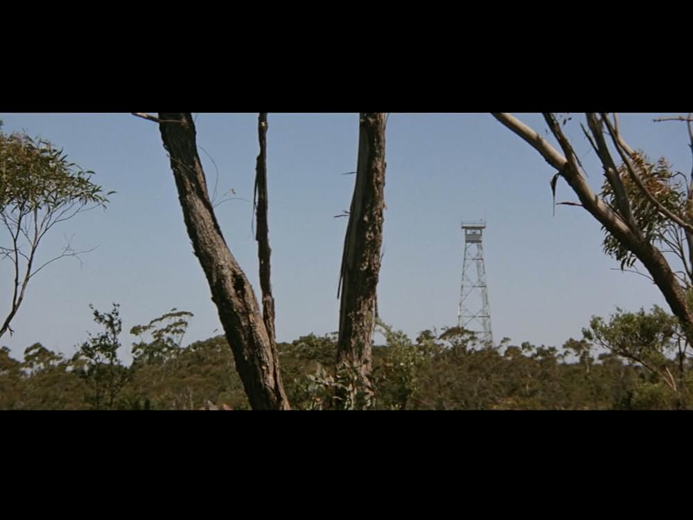 12月の熱い夏／裏切りが呼ぶ、陰謀の炎の画像