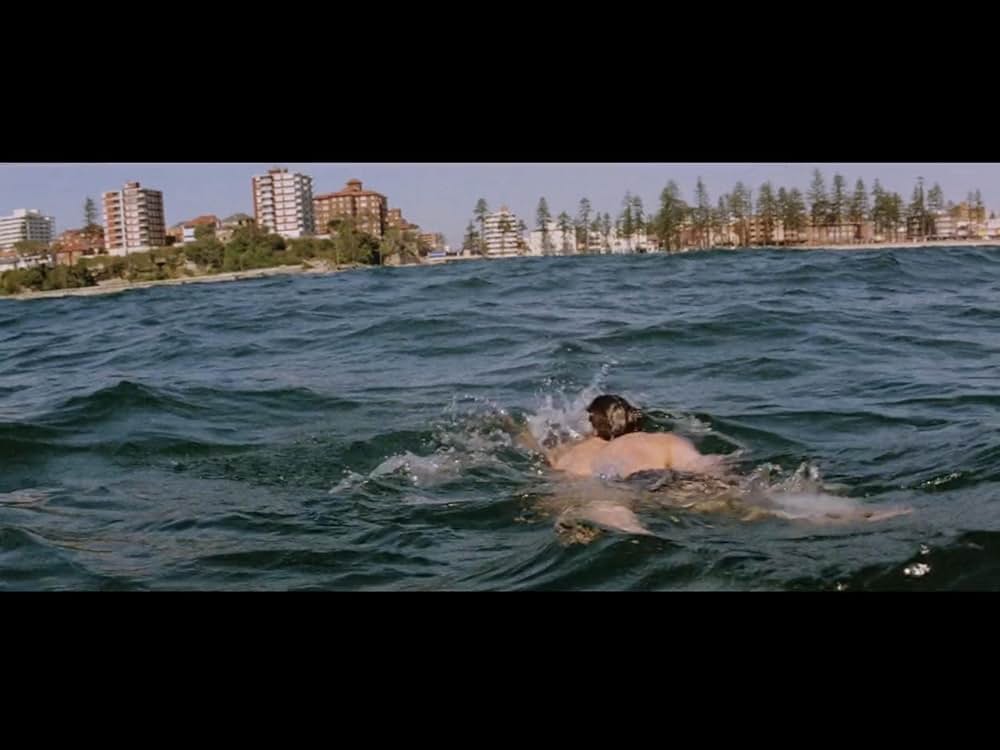 12月の熱い夏／裏切りが呼ぶ、陰謀の炎の画像