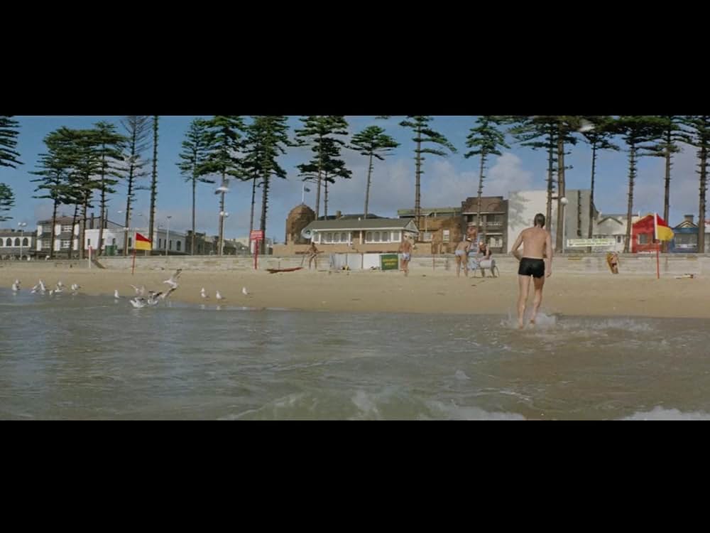 12月の熱い夏／裏切りが呼ぶ、陰謀の炎の画像