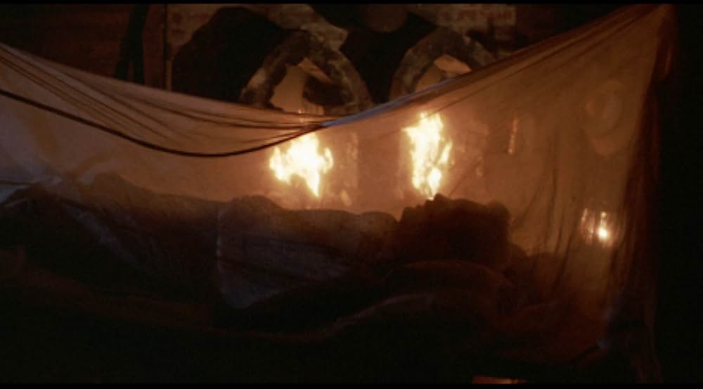 真夏の情事の画像