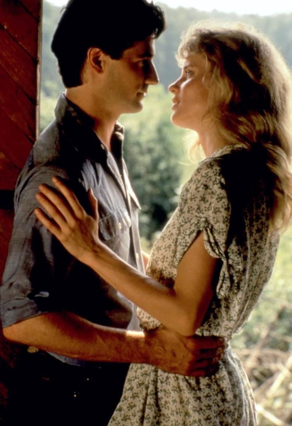 真夏の情事の画像