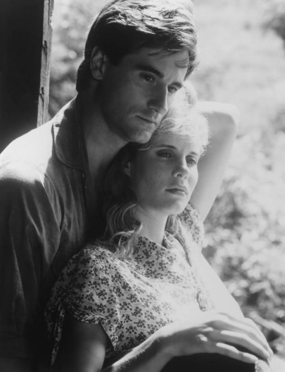 真夏の情事の画像