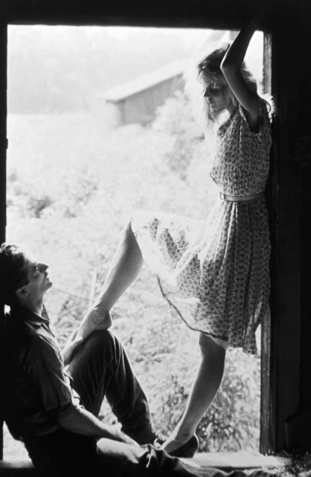 真夏の情事の画像