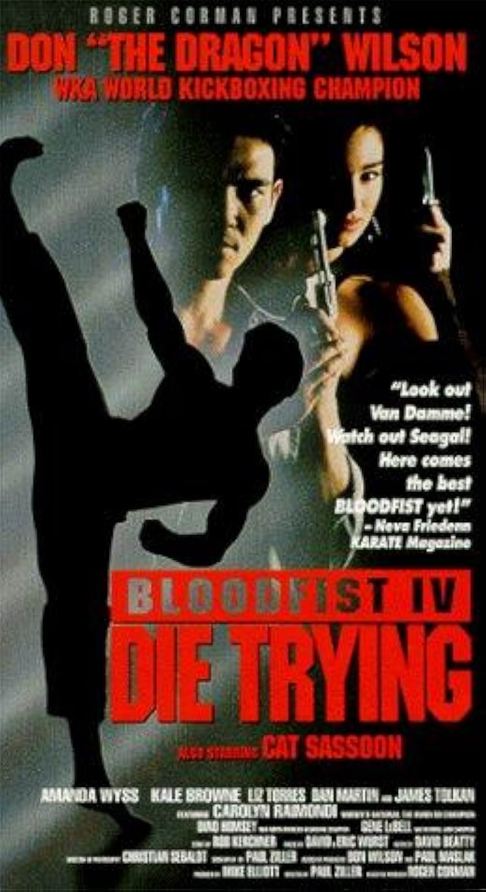 ドラゴンチェイサーの画像