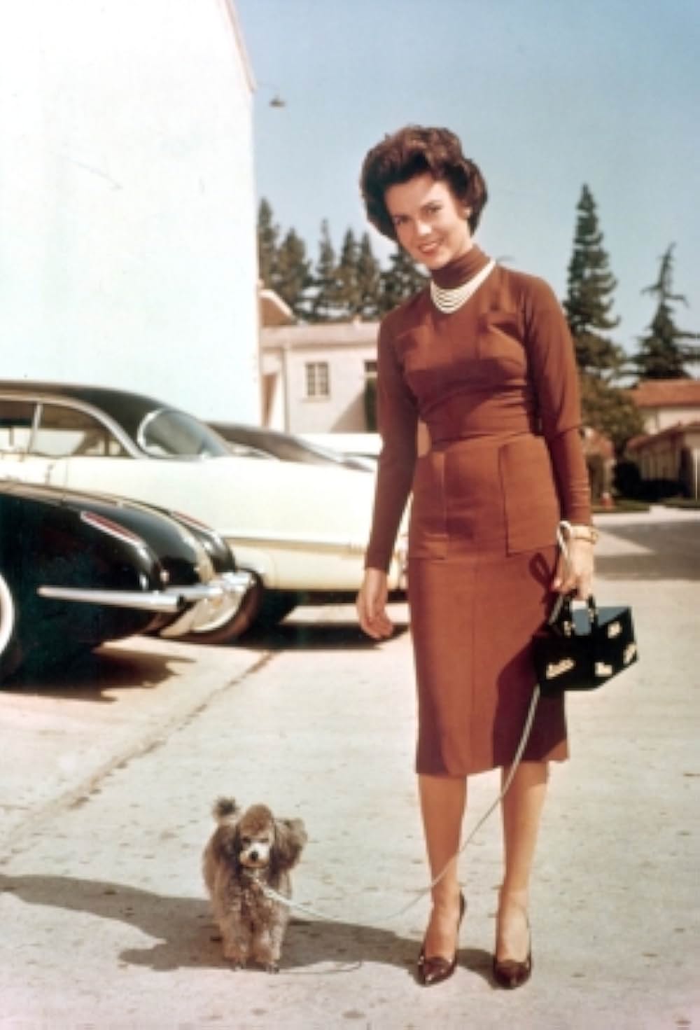 札束とお嬢さんの画像