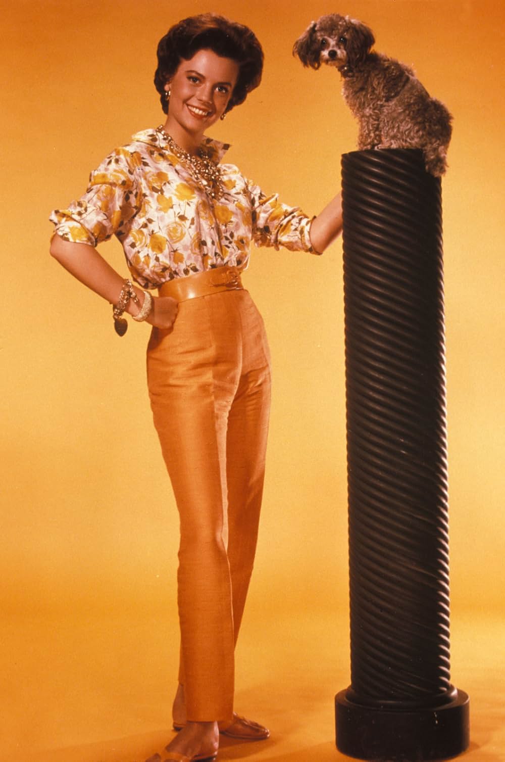 札束とお嬢さんの画像