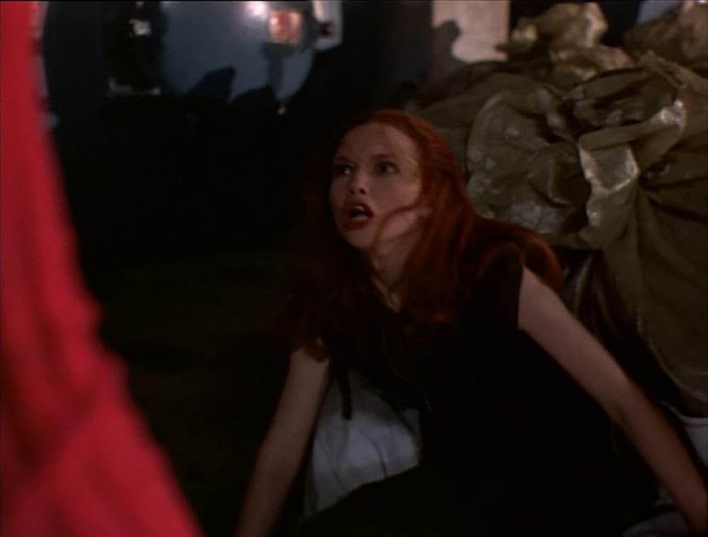 ザ・テロリストの画像