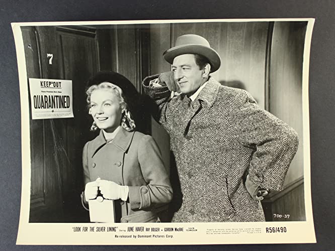 虹の女王の画像