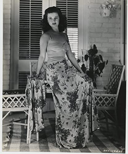 飾窓の女の画像