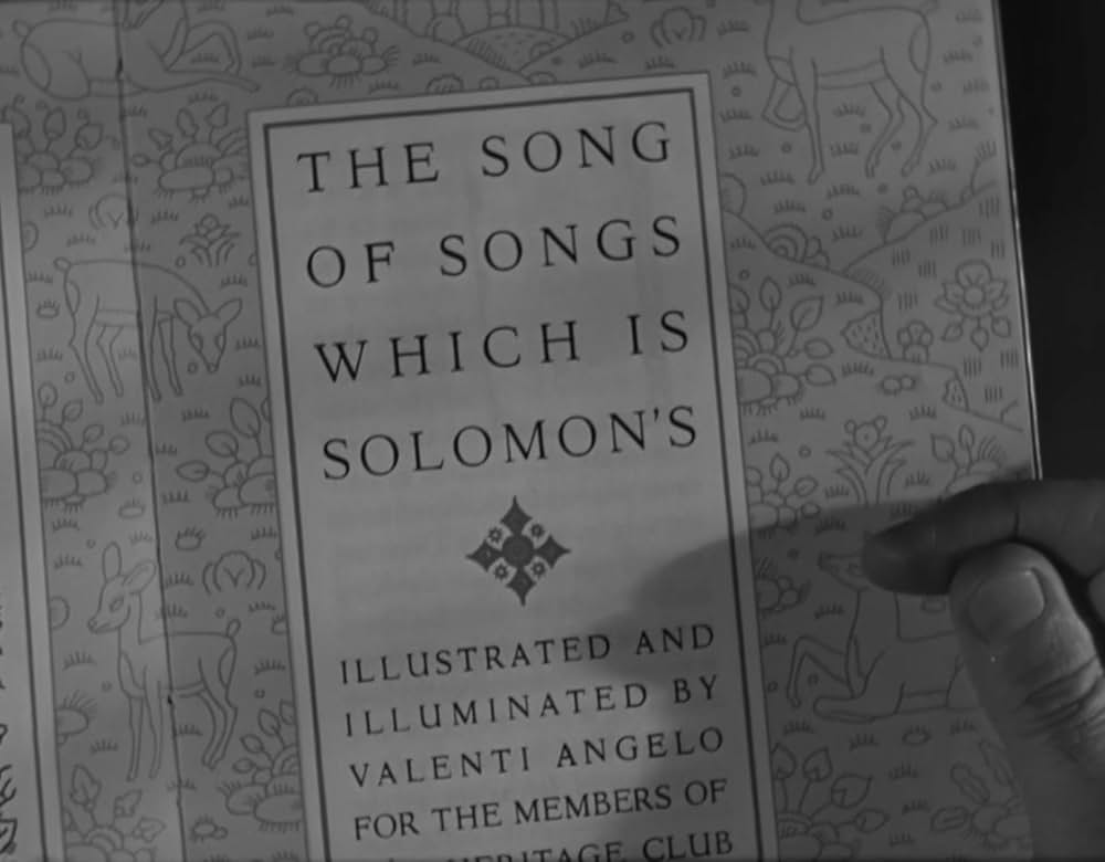 飾窓の女の画像