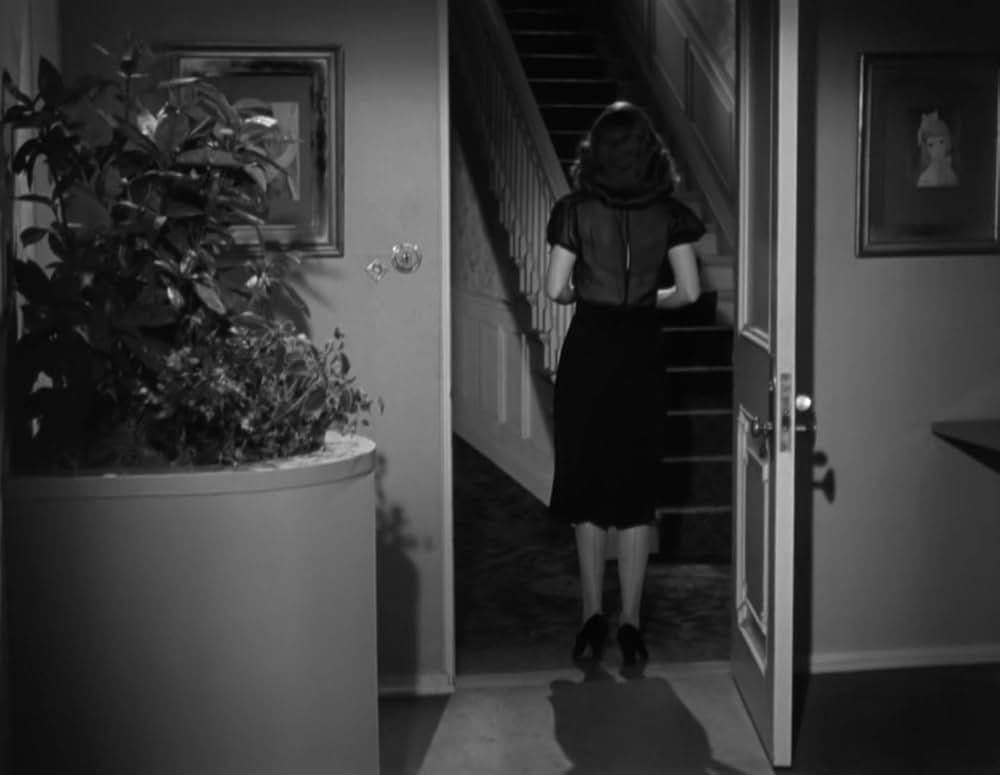 飾窓の女の画像