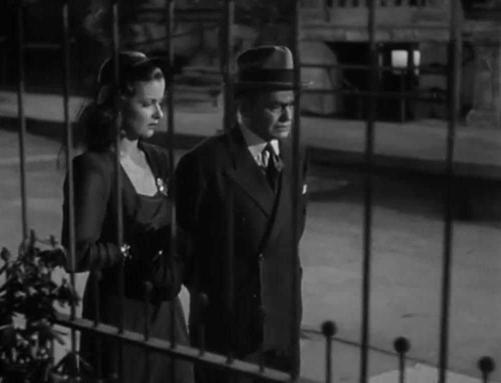 飾窓の女の画像