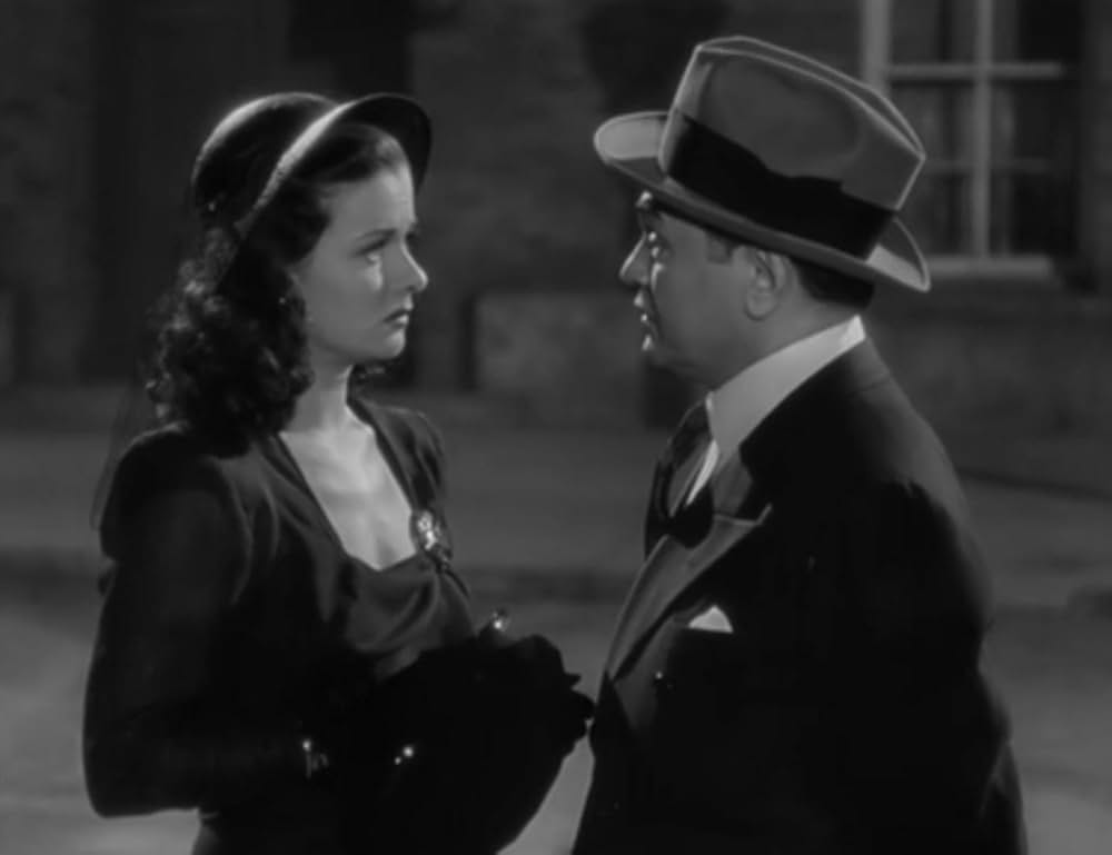 飾窓の女の画像